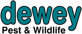 Dewey Pest and Wildlife